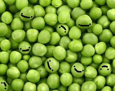 simulation thumbnail